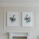 Flora & Fauna Lears - Art Print Collection - Kristjana S Williams Studio
